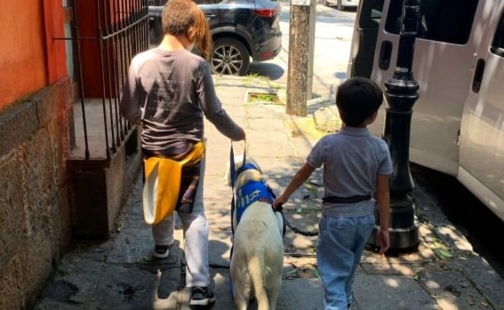 Héroes de 4 patas en la vida real y en la ficción