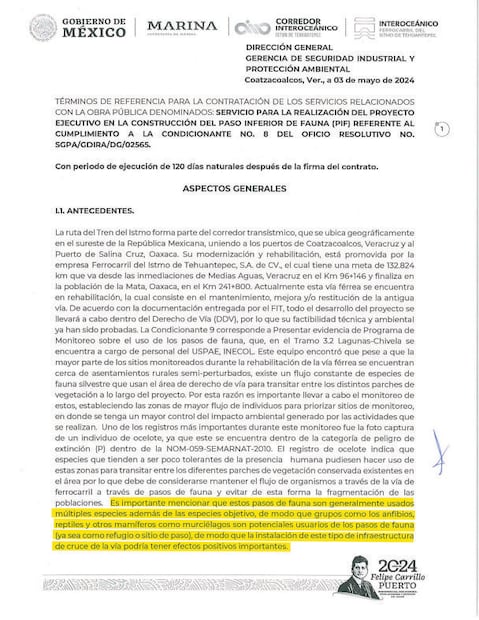 Los pasos de fauna son usados por múltiples especies, por lo que su instalación tiene efectos positivos importantes, se detalla en el Anexo Técnico del contrato FIT-GARMOP-SZ-26-2024, cuya copia posee EL UNIVERSAL.