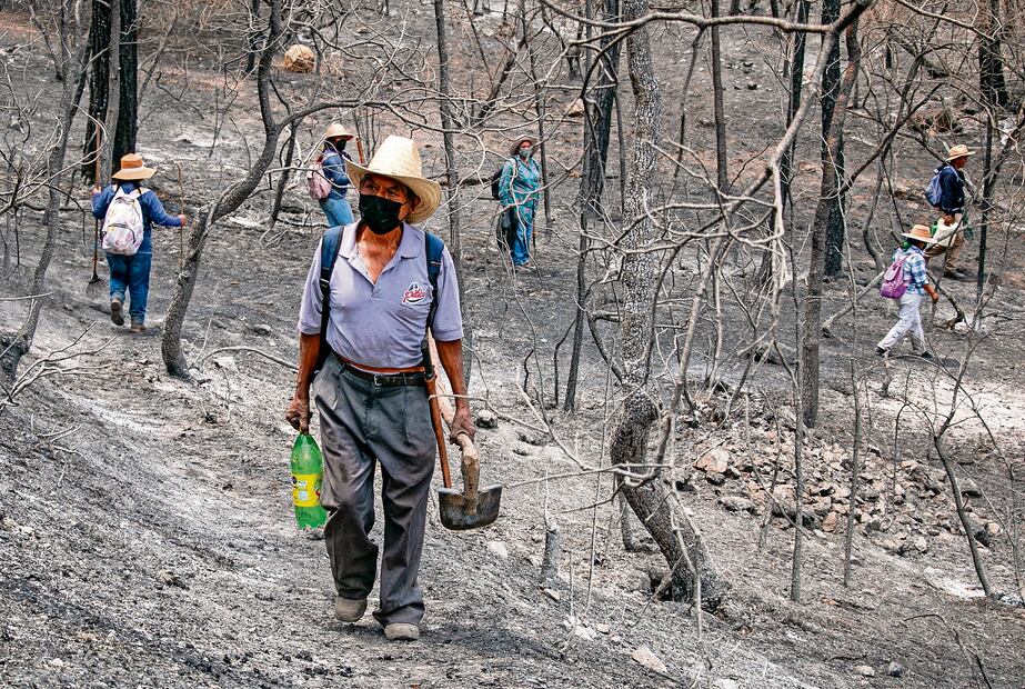 Daniel Pacheco, de más de 70 años, trabajó 22 en la minera y sólo llegó a recibir 33 pesos al día. Foto: Juana García