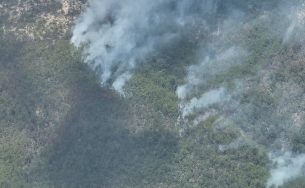 Esta no es la primera vez que azota el incendio en esta zona de la Mixteca (13/05/2025). Foto: Especial