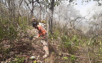 Con apoyo de 2 helicópteros, brigadas combaten 3 incendios en el Cañón del Sumidero