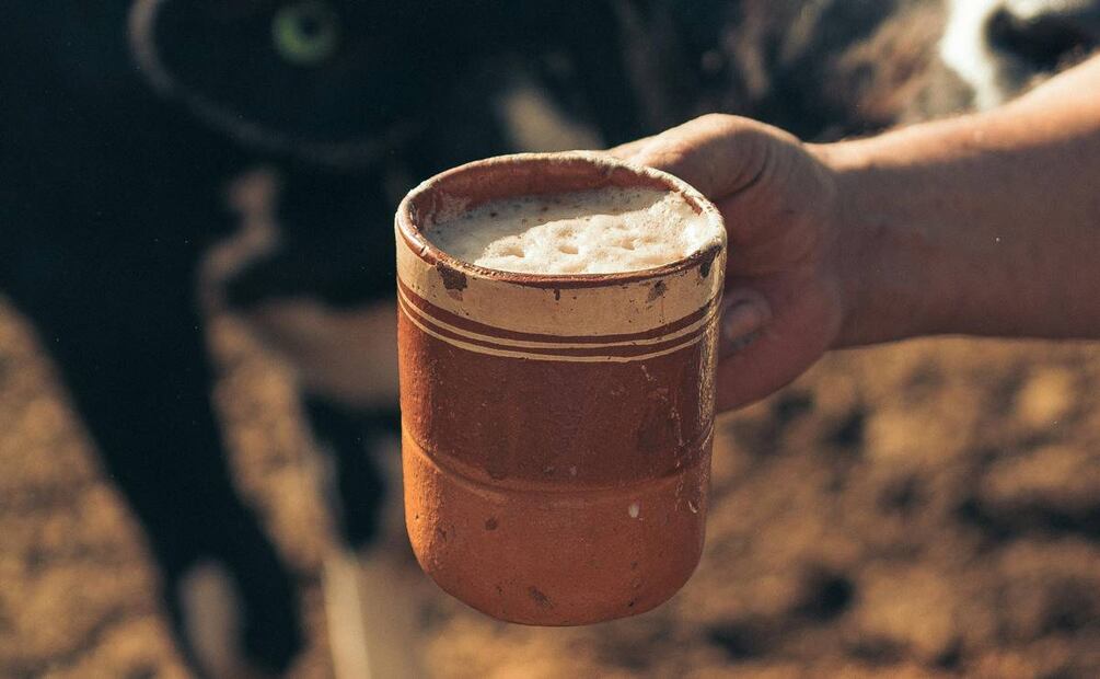 Del rancho a tu mesa, la leche de vaca tiene mucho que contar: Pexels