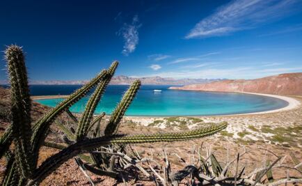 Viaje fantástico a las islas del mar de Cortés