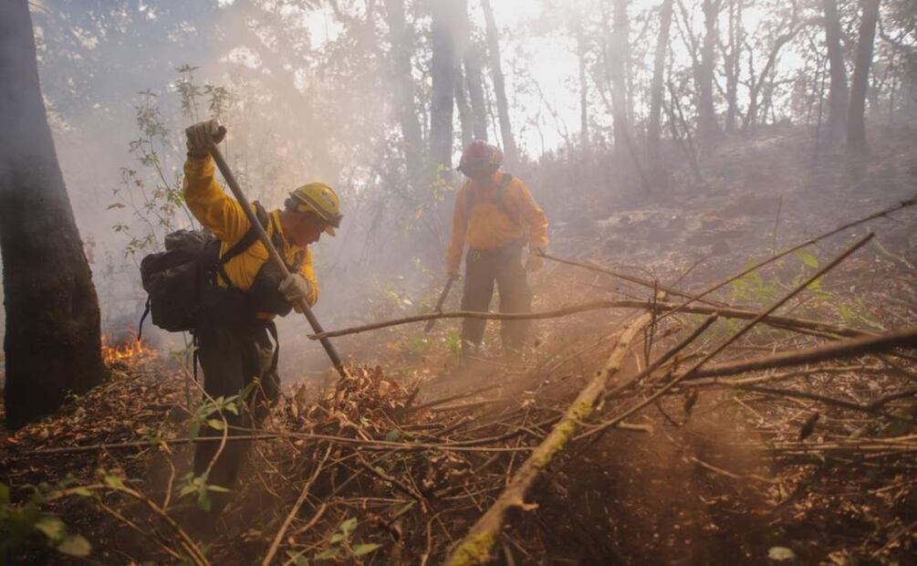Unos 667 brigadistas fueron desplegados en distintas zonas de Morelos para sofocar los incendios forestales (15/04/2025). Foto: Especial