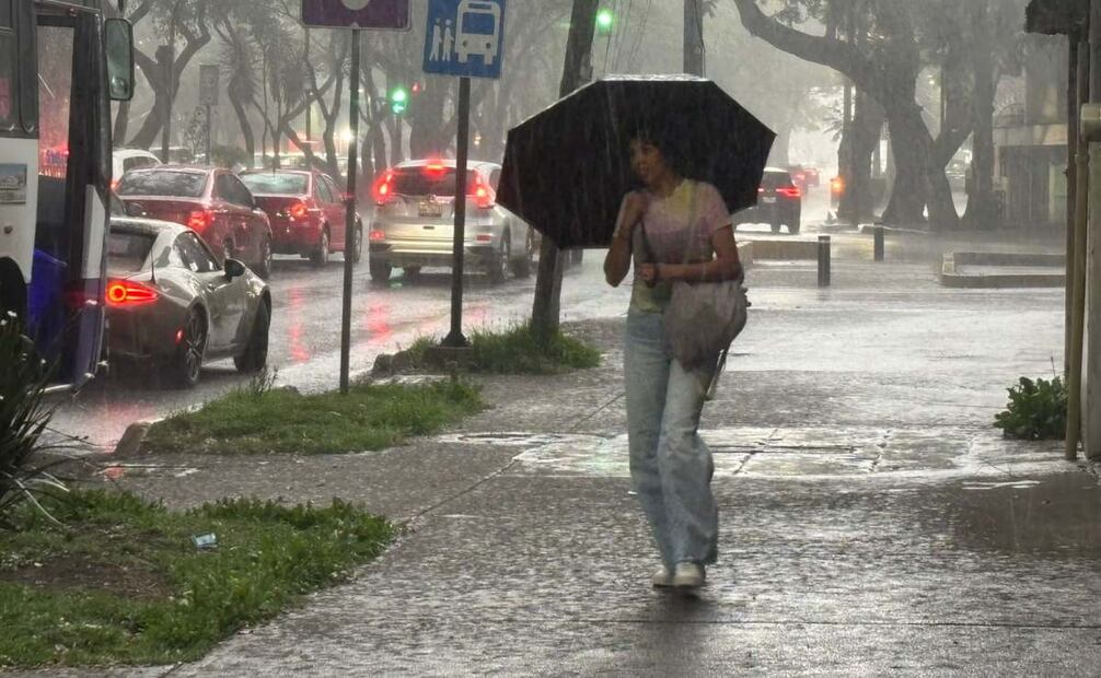 Lluvia y granizo provocan caída de árbol y afectaciones viales; movilidad resulta afectada en diversas zonas.
Foto: Juan Carlos Williams.