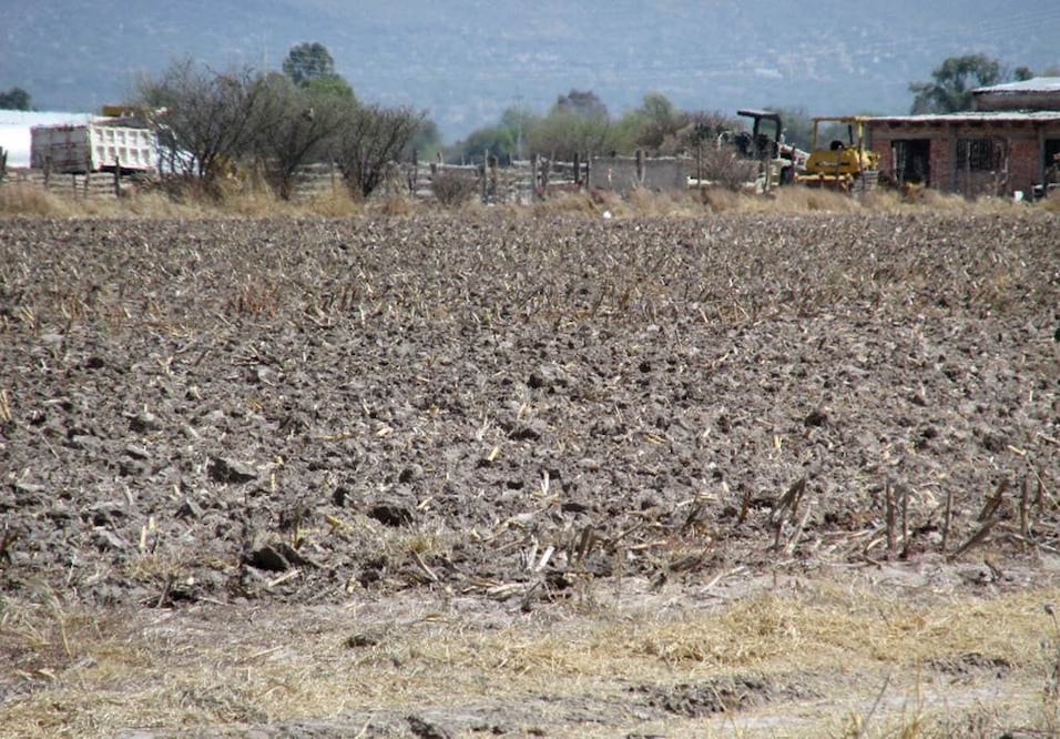 (Foto: Archivo EL UNIVERSAL)