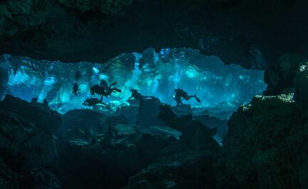 ¿Cuáles son las especies endémicas de los cenotes de la Península de Yucatán?