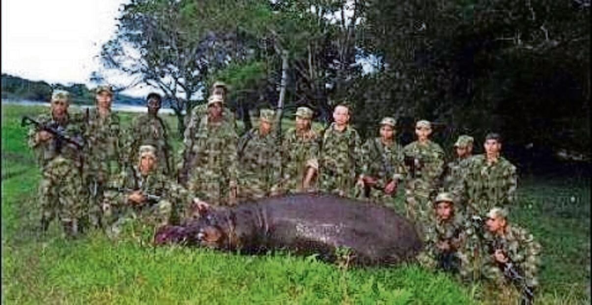 La historia de la foto de 2009 es que un hipopótamo huyó del área, dañó cultivos y causó descontento entre la población, por lo que se montó un operativo para cazar a “Pepe”. Foto: Especial