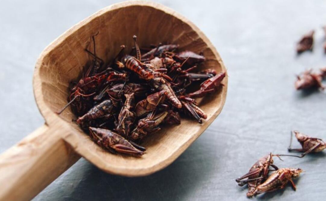 Chapulines are sold everywhere in Oaxaca – Photo: File photo/EL UNIVERSAL	