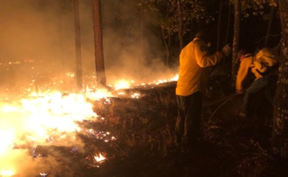 Trabajan en sofocar 13 incendios forestales en Chihuahua
