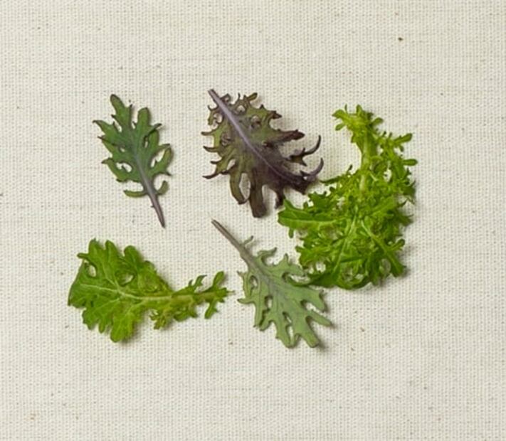 A esto saben las flores y los brotes cuando cocinas con ellos