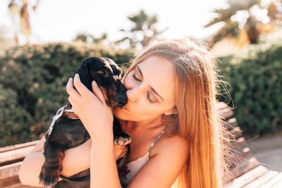 El simple acto de abrazar a un perro puede mejorar la salud mental. Fuente: Freepik.