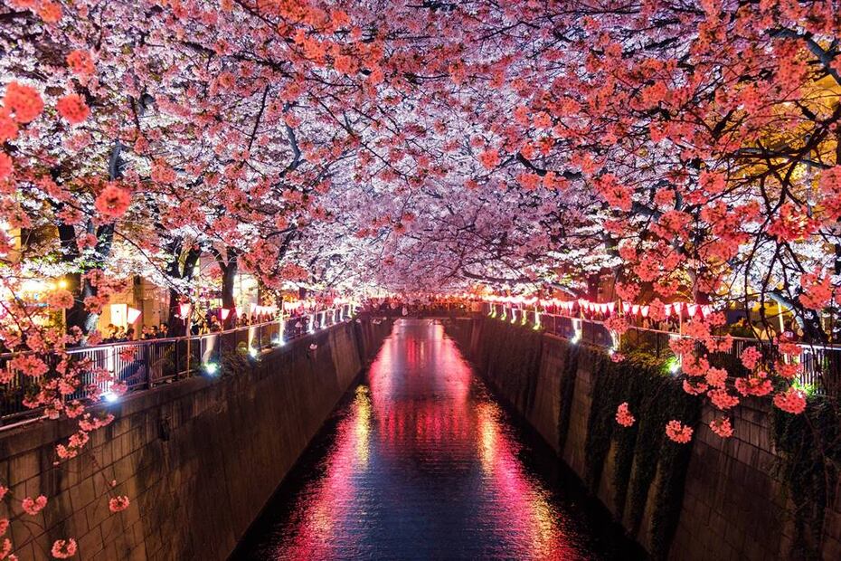 Foto: Sora Sagano. Unsplash
