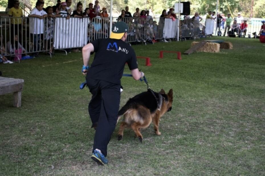 Consiente a tu perro en el Día Canino en Xochitla