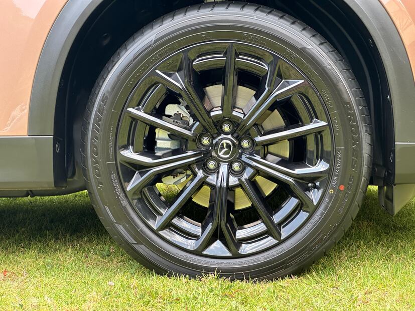 Foto: Luis Vilchis. El Universal.