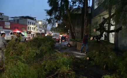 Lluvias del jueves en CDMX dejaron 20 encharcamientos y árboles caídos