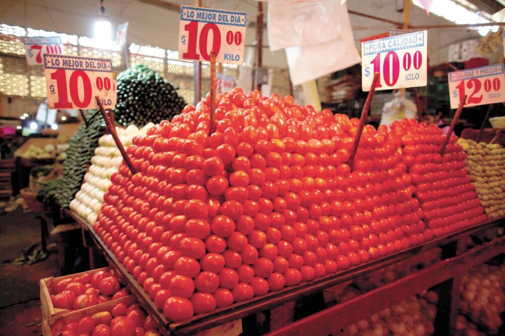 El acuerdo de suspensión de aranceles al jitomate entrará en vigor el 19 de septiembre próximo, luego de una consulta pública en EU. Foto: TOMAS BRAVO. REUTERS