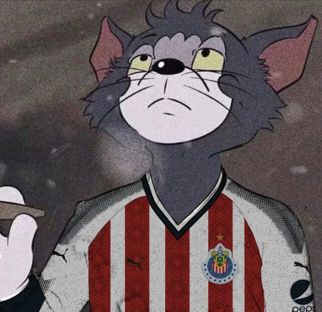 Chivas se llevó los MEJORES MEMES tras vencer a Pumas