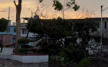 Intensa lluvia provoca caos vial y daños en la zona metropolitana de Morelos; reportan caídas de árboles