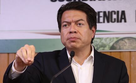 Segob informará sobre el homicidio de la hija de diputada Carmen Medel: Delgado