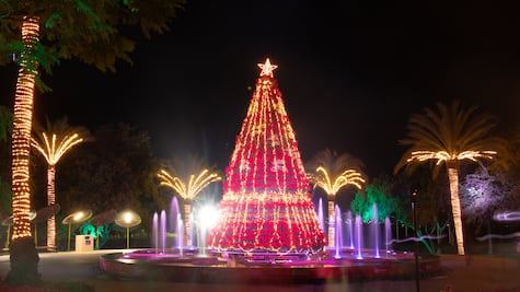 Lánzate a los recorridos navideños de Jardines de México