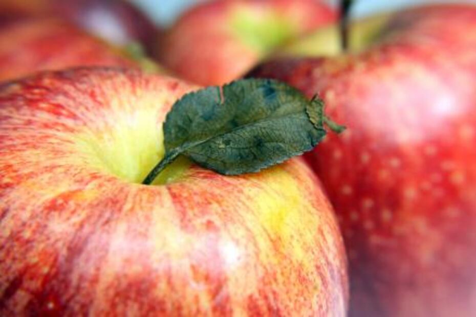 La variedad de manzanas y sus beneficios