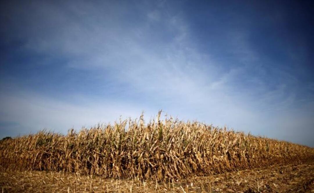 Photo: Reuters / Files 