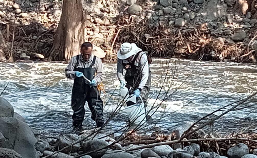 Se contempla la construcción de drenajes marginales y plantas de tratamiento (11/11/2024). Foto: Especial