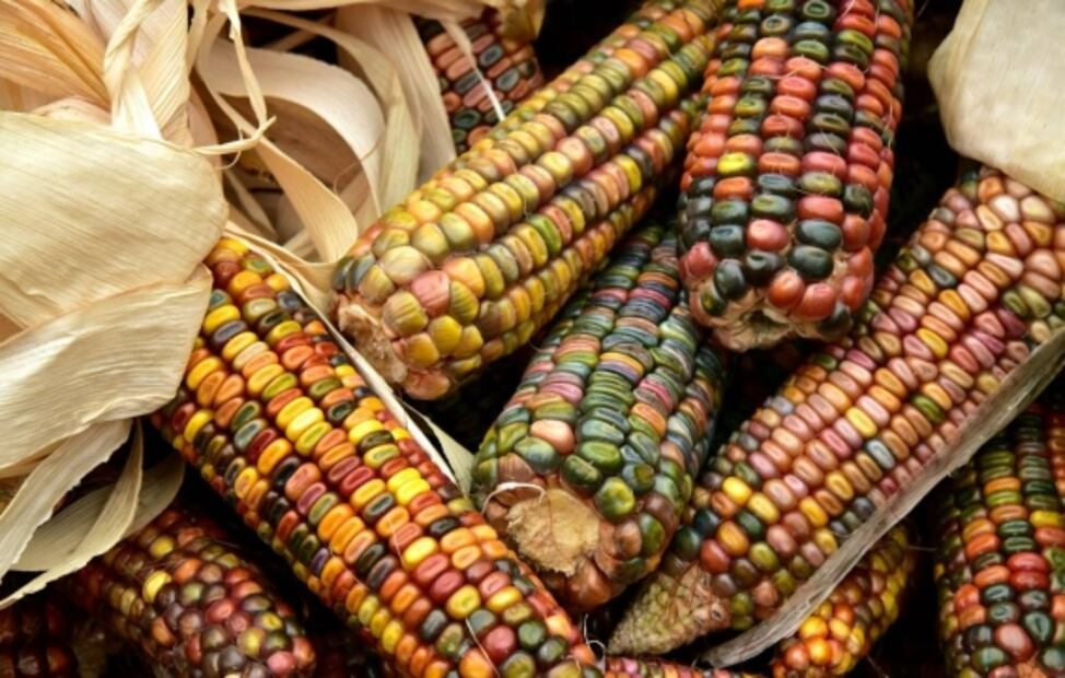 5 ferias tradicionales en agosto que no puedes perderte