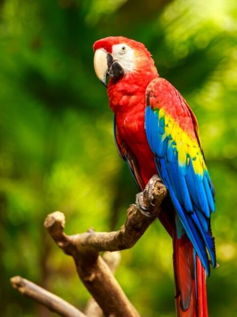 10 maravillas que solo encontrarás en la Selva Lacandona