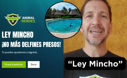 ¿Qué es la Ley Mincho?; la iniciativa que busca liberar a delfines de la esclavitud