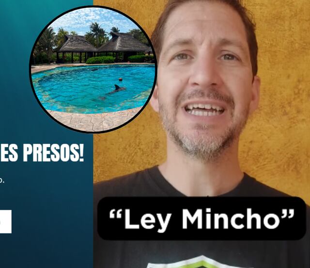¿Qué es la Ley Mincho?; la iniciativa que busca liberar a delfines de la esclavitud
