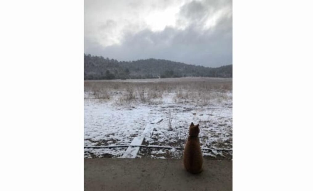 ¡No te destapes! Este lunes se espera la caída de nieve o aguanieve en zonas serranas de Baja California, Sonora y Chihuahua
