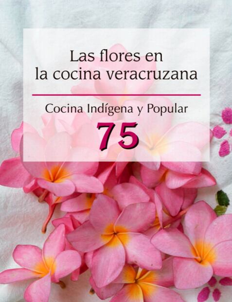 Aprende sobre cocina indígena con estos recetarios