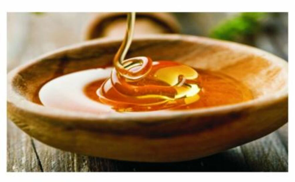 Miel de melipona: un tesoro de Yucatán