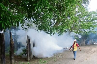 OPS confirma que hay zika en nueve países
