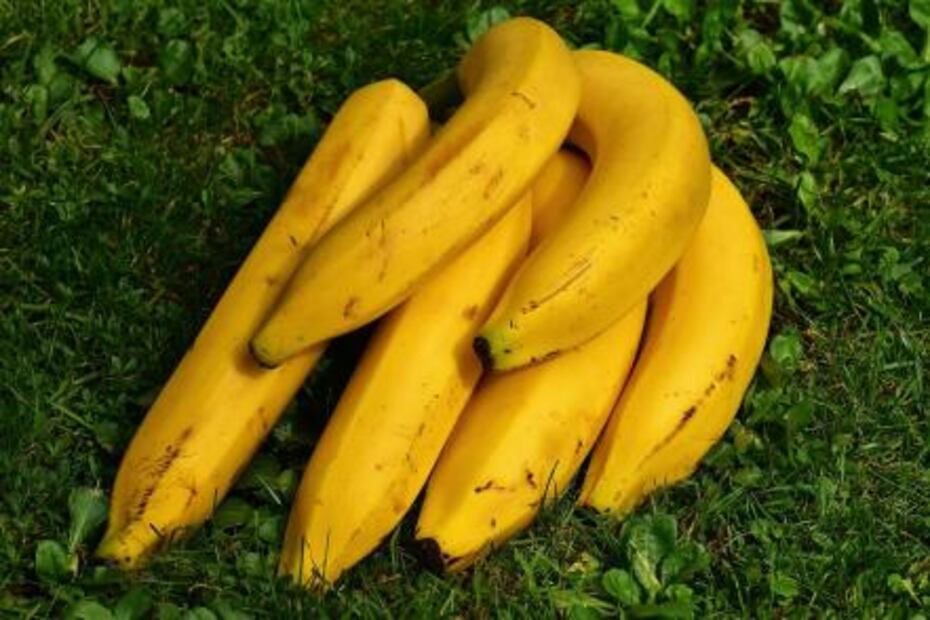7 alimentos que eliminan el estreñimiento