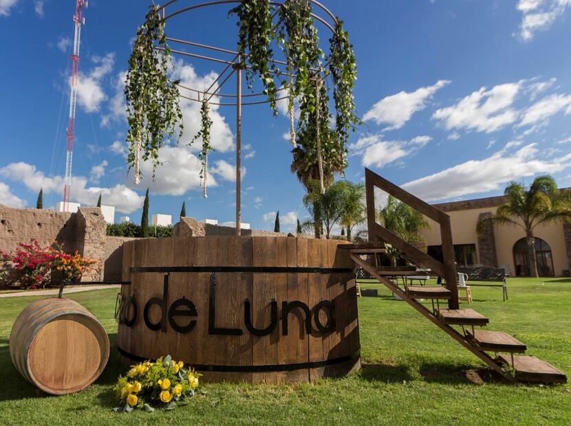 Viñedo Pozo de Luna