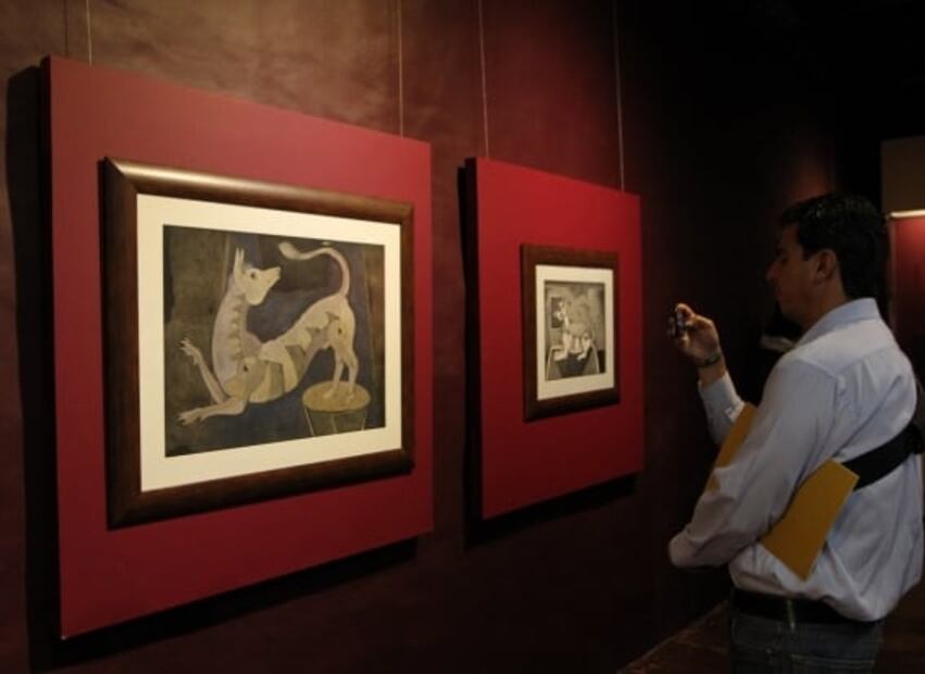 Xoloitzcuintle, de perro perseguido por la Iglesia a ícono de México