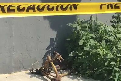 Hallan huesos abandonados afuera de deportivo en Gustavo A. Madero