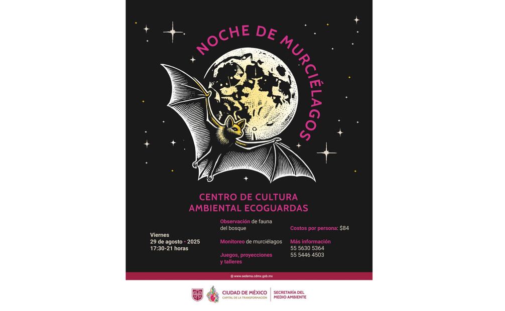El evento sera el viernes 29 de agosto en el Centro de Cultura Ambiental Ecoguardas en un horario de 19:30 a 21:00 horas. Foto: Especial.