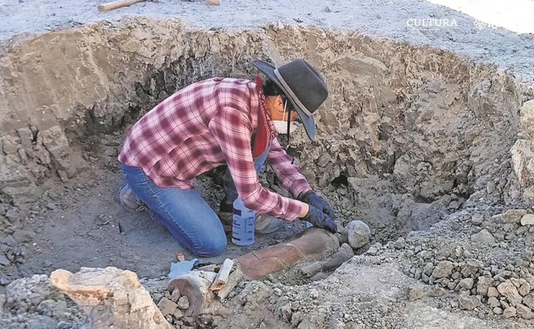 De acuerdo con los investigadores, el paro de labores desde el pasado 28 de mayo dejó áreas de excavación o de clasificación inconclusas y a la deriva. Fotos: INAH