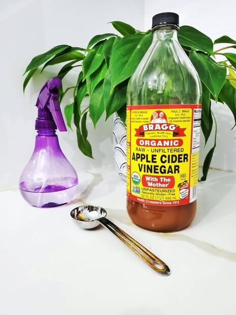 Beneficios y contraindicaciones del vinagre de manzana
