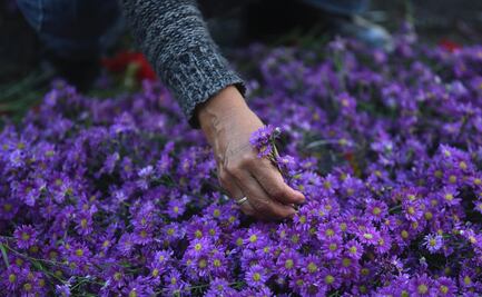 ¿Por qué es un estigma hablar de demencia senil?