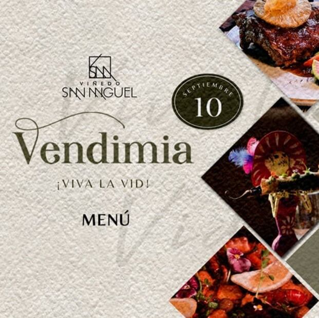 Viñedo San Miguel prepara su vendimia 2022