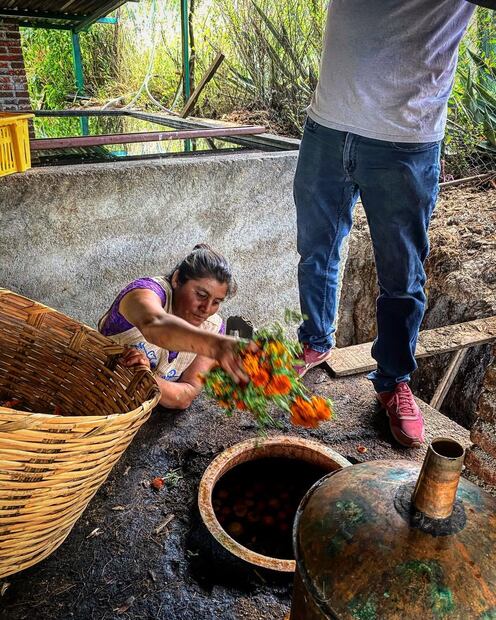 Foto: @maestrosdelmezcal