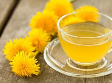 Descubre los beneficios de tomar té de diente de león