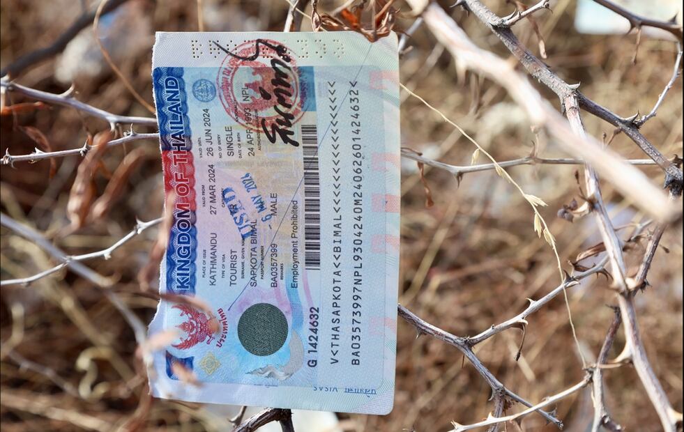 Pasaportes e identificaciones oficiales de personas de diversos países del mundo son destruidos y mutilados en el desierto fronterizo entre México y EU. Foto: Valente Rosas/EL UNIVERSAL