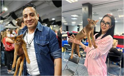 ¿Lo has visto? El actor Luis Fernando Peña pide ayuda para localizar a su gatito “Vivaldi”; el felino es considerado de raza exótica