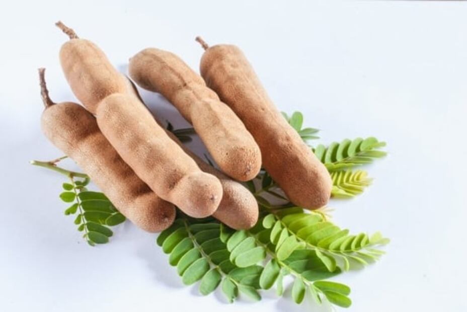 Beneficios del tamarindo. Foto: Archivo / EL UNIVERSAL